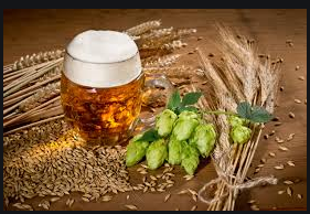 <b>Malt beer</b>
